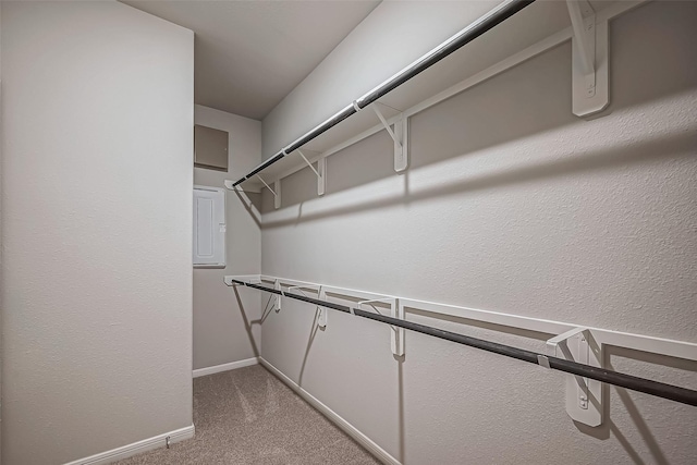 spacious closet with carpet