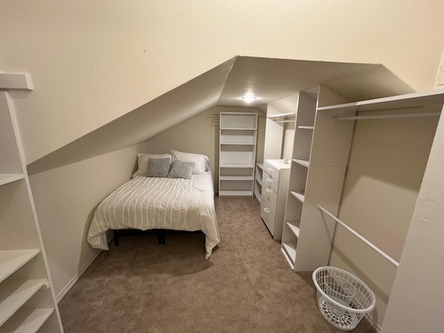 bedroom with carpet flooring