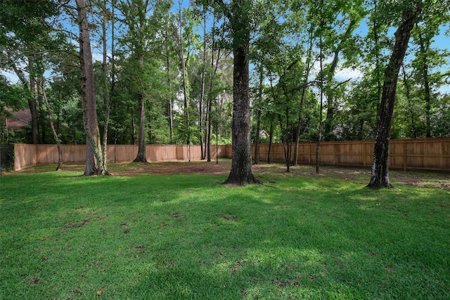 view of yard featuring a fenced backyard