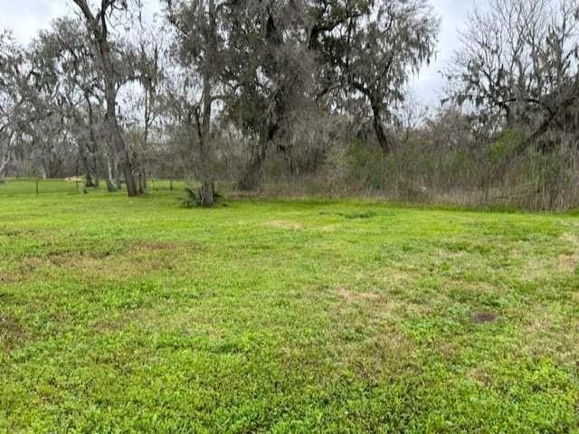 2579 County Road 342, Brazoria, TX 77422 - view of yard
