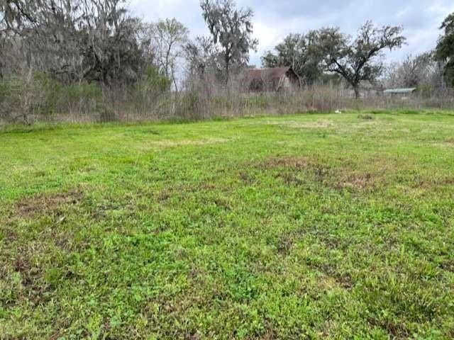 2579 County Road 342, Brazoria, TX 77422 - view of yard