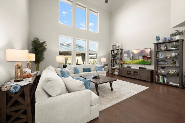 17010 Bainham Forest Trl, Hockley, TX 77447 - living area featuring dark wood-style floors and a high ceiling