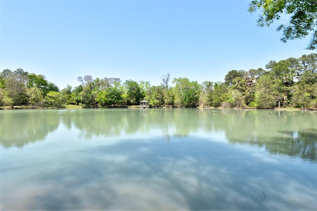 12692 Briar Patch Rd, Houston, TX 77077 - water view with a forest view