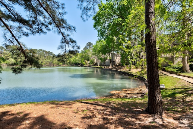 12692 Briar Patch Rd, Houston, TX 77077 - property view of water