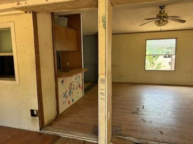 spare room featuring ceiling fan and wood-type flooring