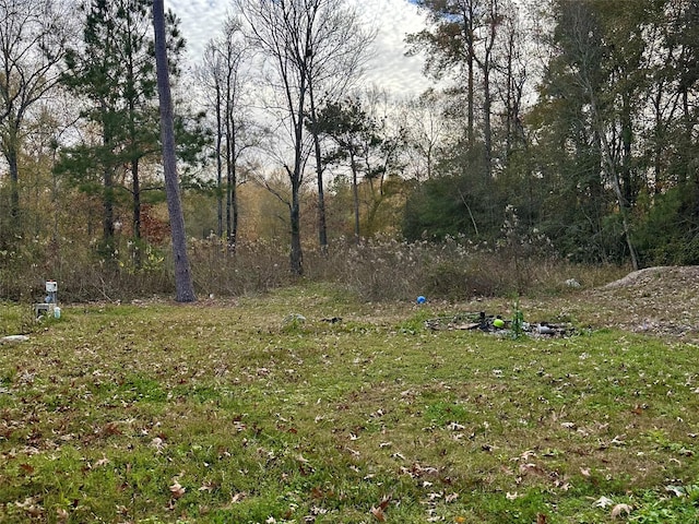 27646 Midlane St, Splendora, TX 77372