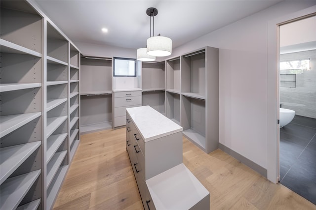 2239 Colquitt St, Houston, TX 77098 - spacious closet with light wood-style floors