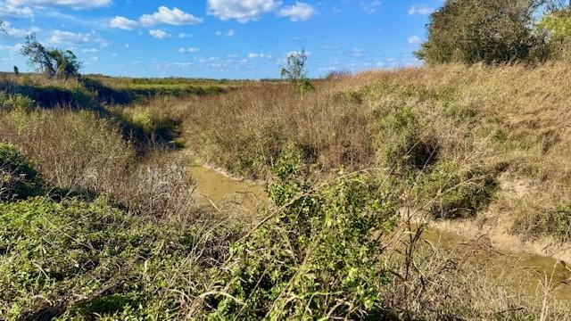 TBD County Road 359, Louise, TX 77455 - photo 3