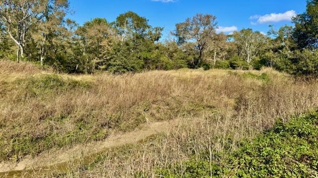 TBD County Road 359, Louise, TX 77455 - photo 4
