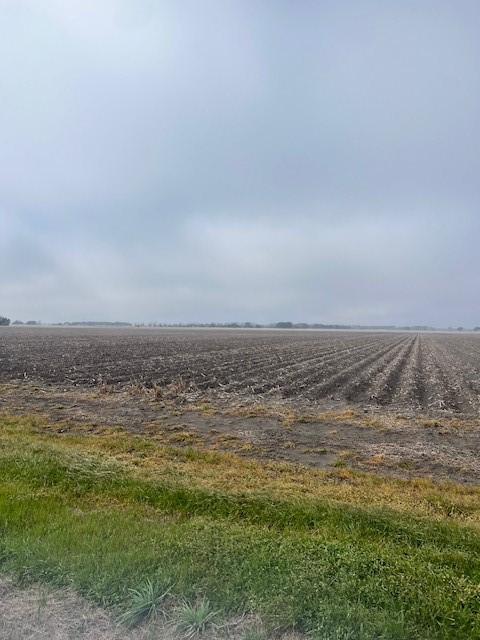 TBD County Road 359, Louise, TX 77455 - photo 5