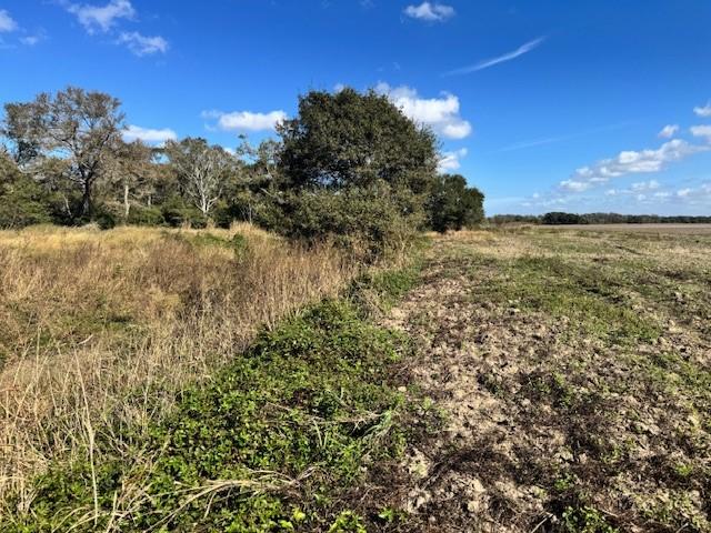 TBD County Road 359, Louise, TX 77455 - photo 6