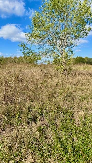 TBD County Road 359, Louise, TX 77455 - photo 9