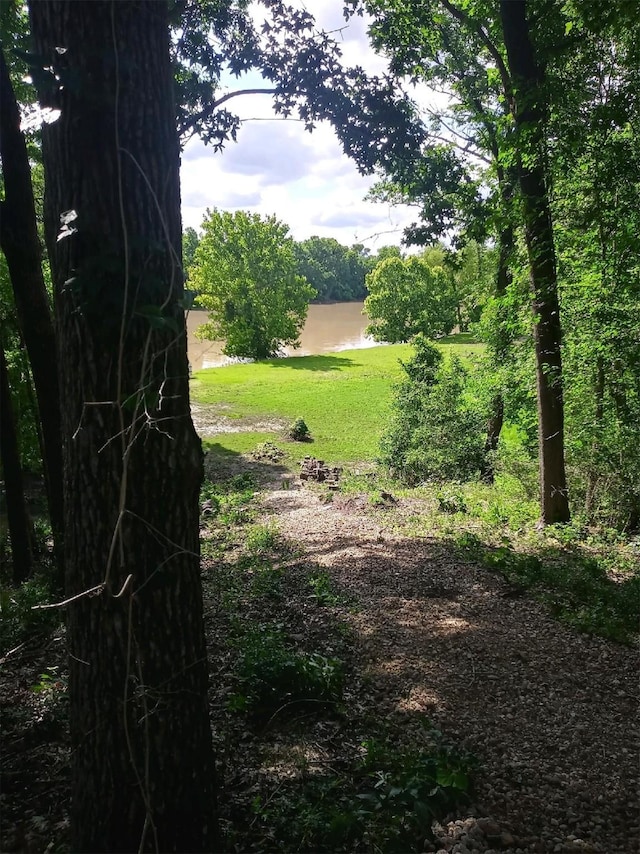 12 Walker Trl, Huntsville, TX 77320 - view of yard featuring a water view