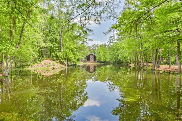 property view of water with a forest view
