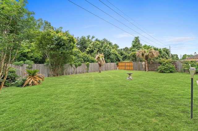 view of yard with a fenced backyard