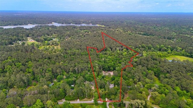 birds eye view of property featuring a water view and a wooded view