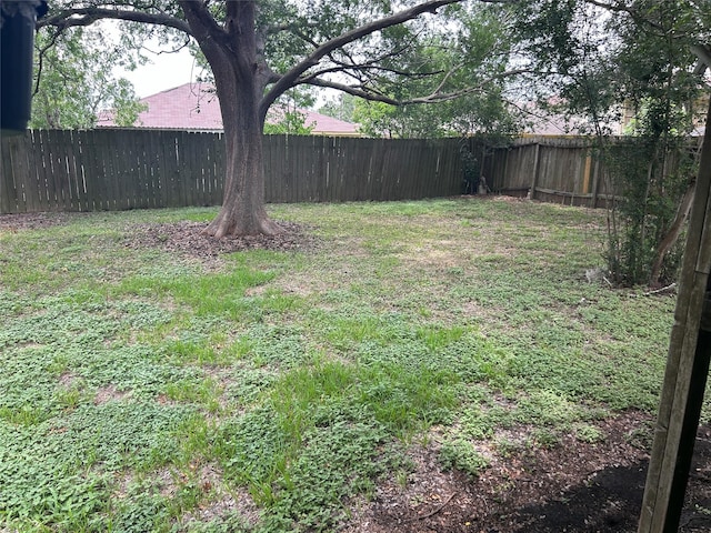 7810 Sawmill Trl, Houston, TX 77040 - view of yard