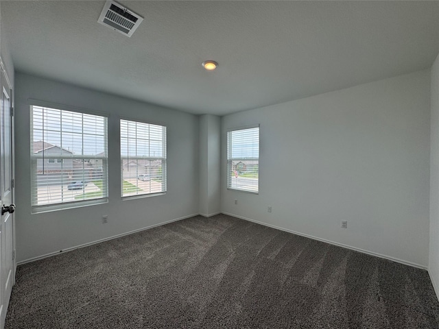208 Otter Rd, Kyle, TX 78640 - photo 25