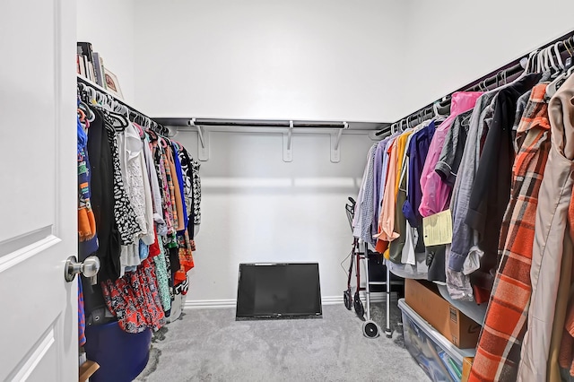 spacious closet with carpet flooring