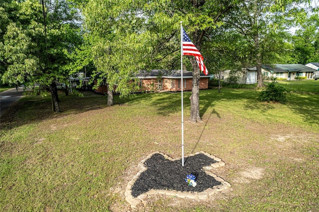 120 Sugar Ln, Lufkin, TX 75904 - view of yard