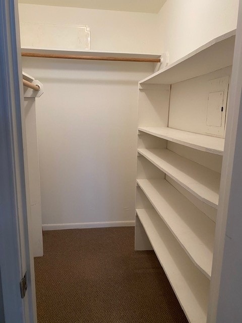 2250 Bering Dr Unit 98, Houston, TX 77057 - spacious closet with carpet