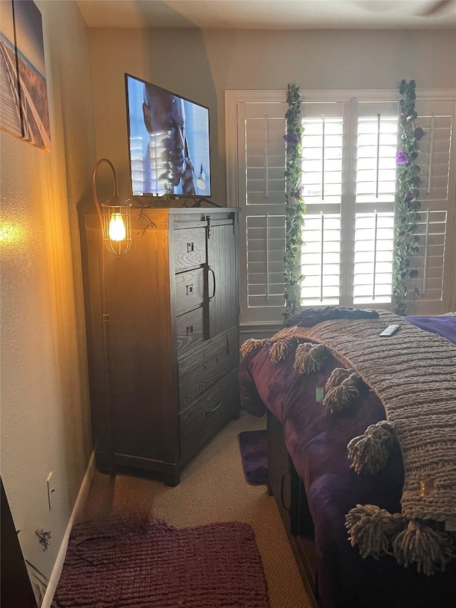 2250 Bering Dr Unit 98, Houston, TX 77057 - bedroom featuring carpet floors