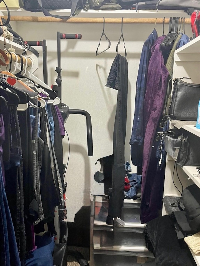 2250 Bering Dr Unit 98, Houston, TX 77057 - view of walk in closet