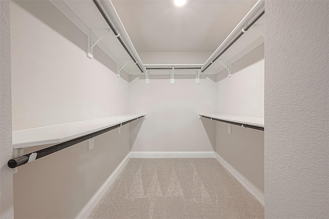 spacious closet with light colored carpet