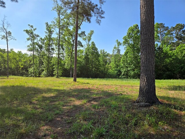 TBD 5 Noah Ct, Huntsville, TX 77320 - photo 6