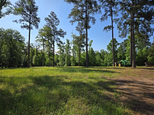 TBD 5 Noah Ct, Huntsville, TX 77320 - photo 3