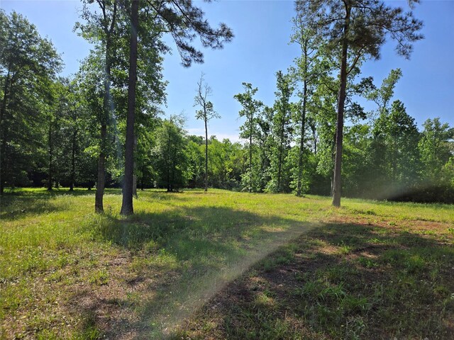 TBD 5 Noah Ct, Huntsville, TX 77320 - photo 5