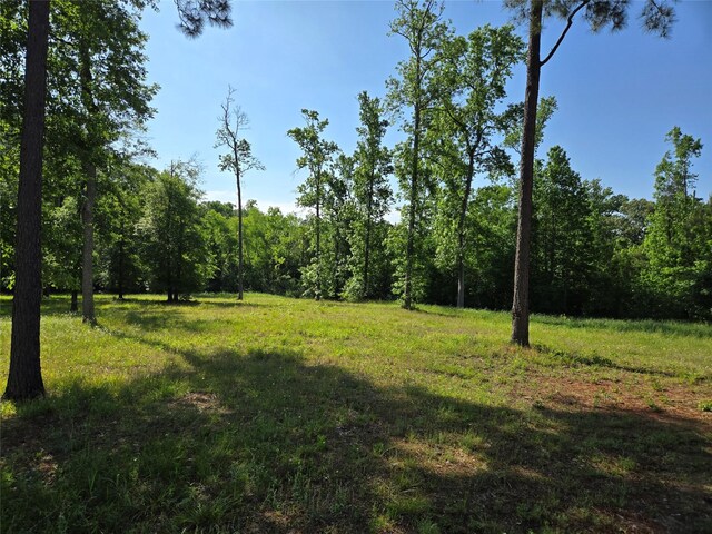 TBD 5 Noah Ct, Huntsville, TX 77320 - photo 8