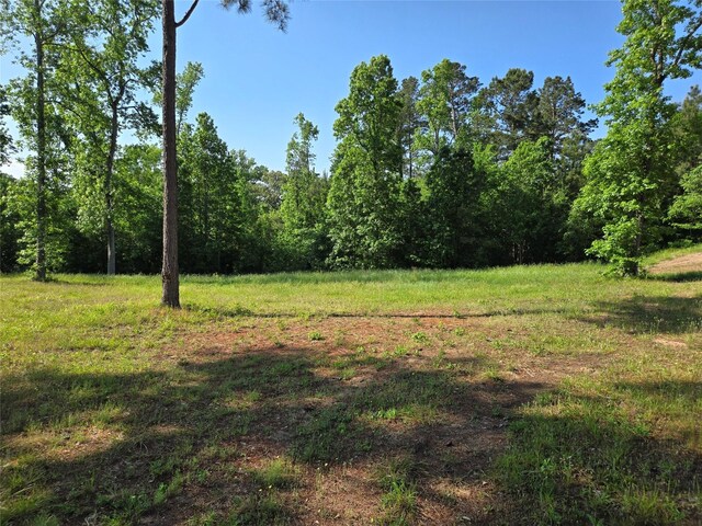 TBD 5 Noah Ct, Huntsville, TX 77320 - photo 7