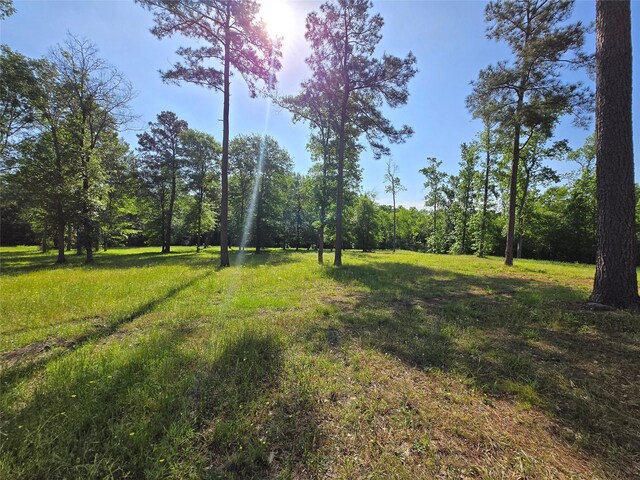 TBD 5 Noah Ct, Huntsville, TX 77320 - photo 4
