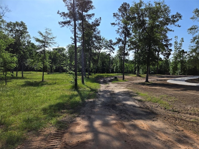 TBD 5 Noah Ct, Huntsville, TX 77320 - photo 2