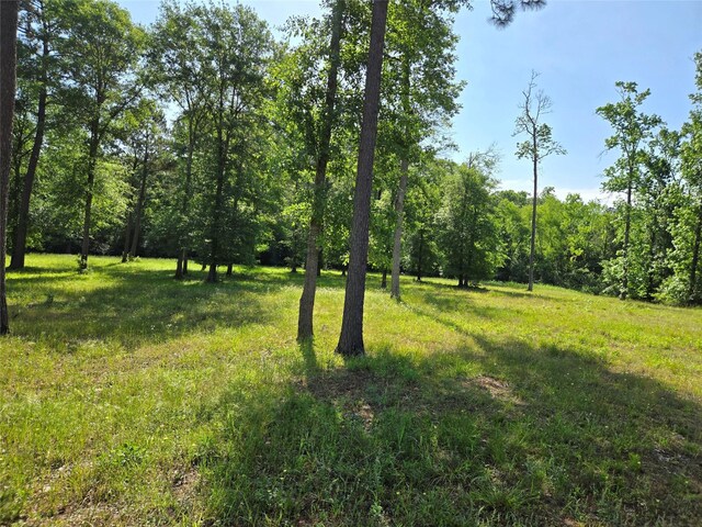TBD 5 Noah Ct, Huntsville, TX 77320 - photo 9