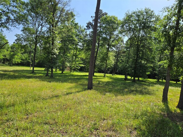 TBD 5 Noah Ct, Huntsville, TX 77320 - photo 1