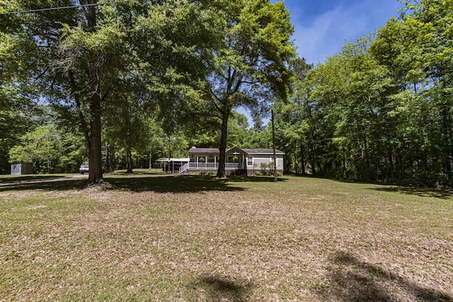 595 Andrew Jackson Dr, Livingston, TX 77351 - photo 31