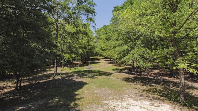 595 Andrew Jackson Dr, Livingston, TX 77351 - photo 40