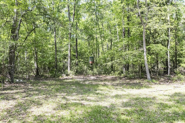 595 Andrew Jackson Dr, Livingston, TX 77351 - photo 42
