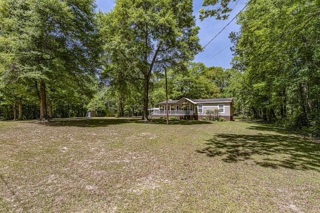 595 Andrew Jackson Dr, Livingston, TX 77351 - photo 34