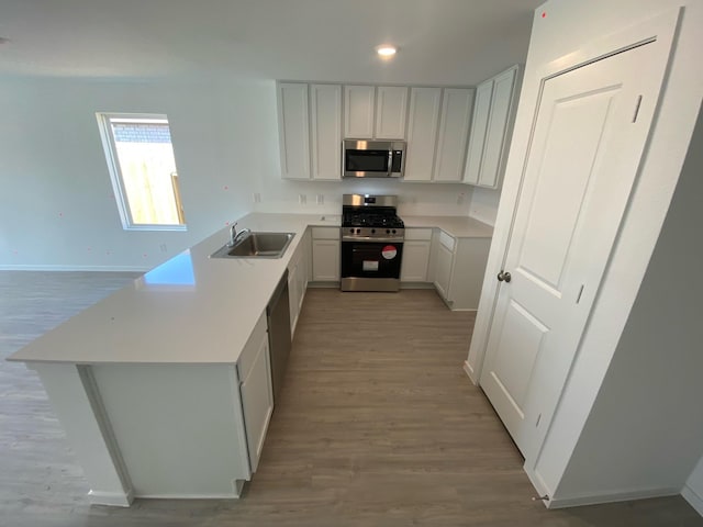289 Douglas Hills Dr, Magnolia, TX 77354 - kitchen featuring appliances with stainless steel finishes, a sink, light wood finished floors, a peninsula, and recessed lighting