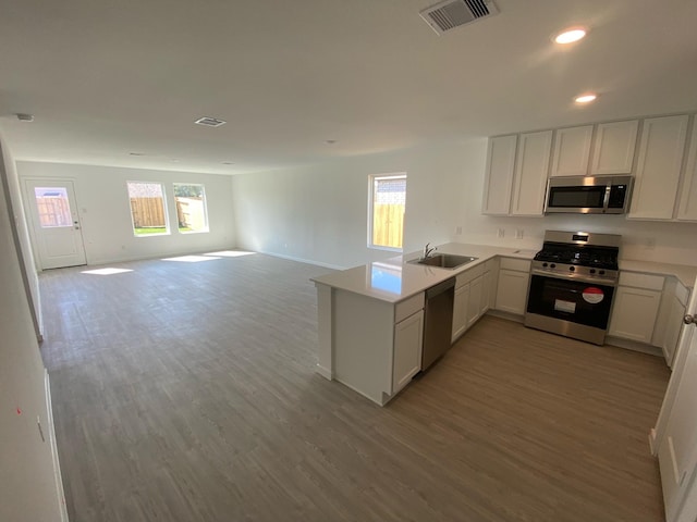 289 Douglas Hills Dr, Magnolia, TX 77354 - kitchen with stainless steel appliances, a sink, light wood-style flooring, a peninsula, and recessed lighting
