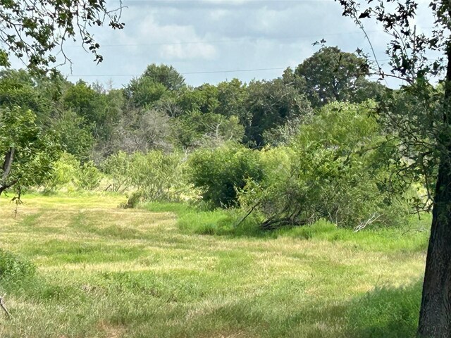 TBD County Road 707, Kosse, TX 76653 - photo 13