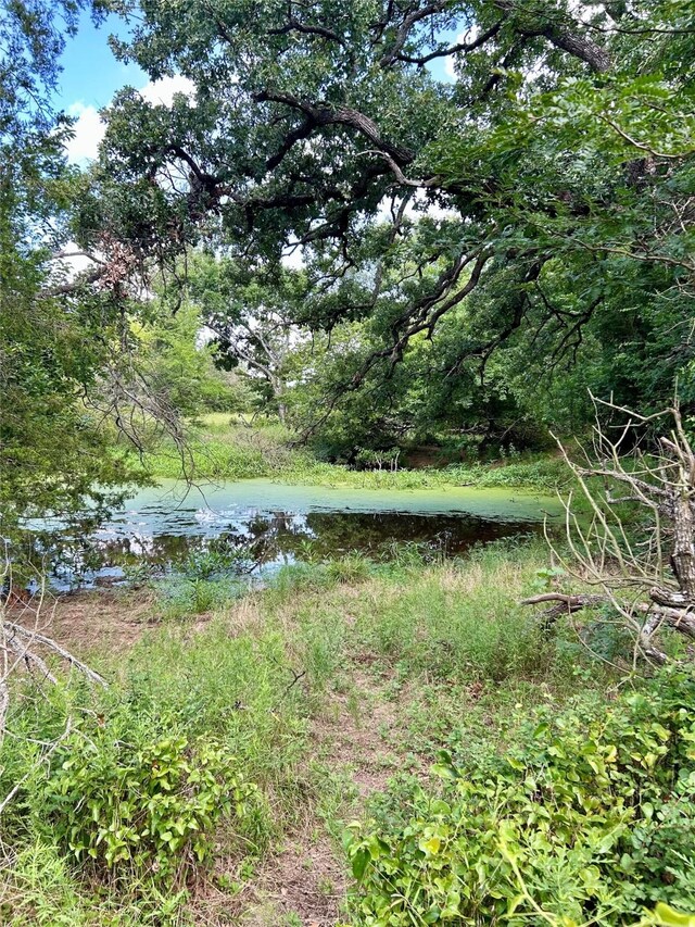 TBD County Road 707, Kosse, TX 76653 - photo 14