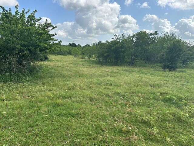 TBD County Road 707, Kosse, TX 76653 - photo 23
