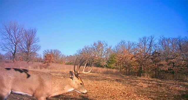 TBD County Road 707, Kosse, TX 76653 - photo 3