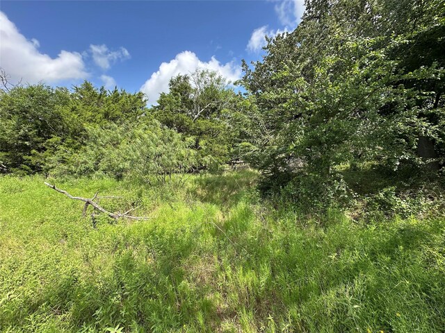 TBD County Road 707, Kosse, TX 76653 - photo 34