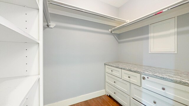 spacious closet featuring wood finished floors