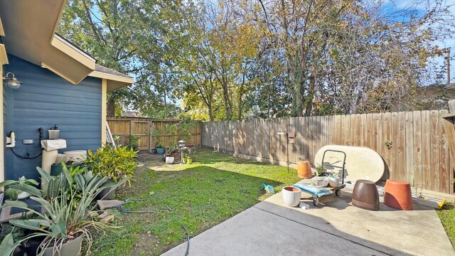 view of yard featuring a patio area and a fenced backyard